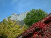 Савойские пейзажи осенью - Дом покрыт красным плющом (осенью), деревьями, лесом и скалами