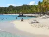 Святая Анна - Пляж де ла Каравель с белым песком, кокосовыми пальмами и лагуной