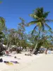 Святая Анна - Отдыхающие отдыхают на мелком песке пляжа Бург, засаженном кокосовыми пальмами и виноградом