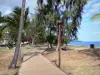 Сент-Пол - Прогулка под деревьями, вдоль Индийского океана