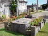 Сент-Пол - Морское кладбище: могила поэта Леконт де Лиль