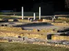 Сен-Ромен-ан-Gal - Галло-римские археологические раскопки