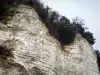 Скалы Оривала - Клифф и кустарники