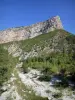 Скалы Ремузат - Вид на скалы в окружении зелени