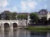 Сомюр - Мост через реку Луару, здания на острове Оффард и деревья (Долина Луары)