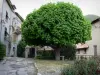 Теплицы - Небольшая площадь украшена каштаном (деревом) и домами поселка