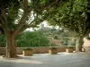 Туретт - Деревенская площадь украшена платанами с видом на замок