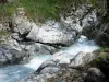 Уллы Дьявола - Поток Наветт и скал; в муниципалитете La Chapelle-en-Valgaudémar, в Valgaudemar, в национальном парке Экрин (массив Экрин)