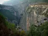 Ущелье дю Вердон - С возвышенного Корниша, вид на растительность, деревья, кустарники и известняковые скалы (каменные стены) каньона (Региональный природный парк Вердон)