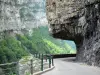 Ущелья Борна - Региональный природный парк Веркор: изогнутая дорога и скалы (скалы) с видом на Борн