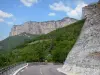 Ущелья Борна - Региональный природный парк Веркор: скалы (скалы) доминируют над дорогой ущелий