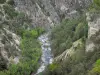 Ущелья Гилла - Гил Торрент выстлан деревьями и каменными лицами; в региональном природном парке Кейрас