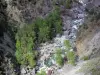 Ущелья Гилла - Торрент дю Гиль, деревья и камни; в региональном природном парке Кейрас