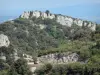 Ущелья Сент-Бауме - Каменные стены и роща растительности