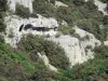 Ущелья Сент-Бауме - Каменные стены и растительность