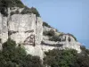 Ущелья Сент-Бауме - Каменные стены и растительность