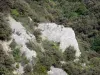 Ущелья Сент-Бауме - Каменная стена и растительность