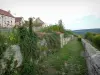 Флавиньи-сюр-Озерен - Набережная крепостных стен