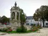 Шатоден - Монументальный фонтан Place du 18-Octobre, фонарный столб, цветы, деревья и дома