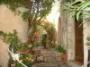 Эз - В старой деревне, каменный дом вход с растениями и цветами
