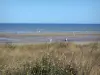 Юта Бич - D-Day beach: пляж Юты с оятами и полевыми цветами на переднем плане