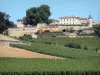 サンテミリオン - クロ・ラ・マドレーヌとそのテラスのあるブドウ畑、ボルドーのブドウ畑にあるサンテミリオンのワイン農園