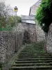 シダ - 階段と街灯