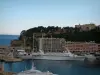 モナコ公国 - 船と大きなヨット、海が見えるモナコロックとその下の港