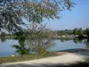 加斯科尼的风景 - 在L'Isle-Jourdain湖边漫步