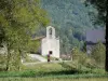 加贝特山谷 - Chapel Saint-Pierre d'Ercé，草地，树木和森林;位于Couserans的PyreneesAriégeoises地区自然公园