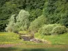 勃艮第的风景 - 开花的草地，溪流和树木;在Morvan地区自然公园