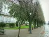 南特 - Cours Cambronne的路径，树木和灯柱