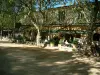 圣保罗德旺斯 - 与树和咖啡露台的方形球赛