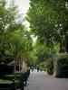 塞纳河畔讷伊 - 树木繁茂的人行道