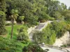 尼姆 - 喷泉花园（公园）：树木，灌木，棕榈树和楼梯