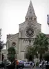 尼姆 - 圣保罗教堂和棕榈树