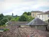 巴扎斯 - 老镇的屋顶的看法