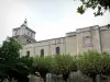 强麦 - 圣让 - 巴蒂斯特大教堂和树木排列