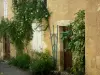 拉瓦尔当 - 用攀缘植物装饰的房子的门面