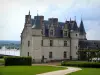 昂布瓦兹城堡 - 皇家城堡，车道两旁种满了草坪和旗帜