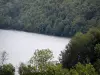 纳拉湖 - 水和树木的身体