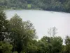 纳拉湖 - 水和树木的身体