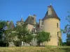 蒙塔尔城堡 - 城堡和树木，在Quercy