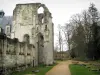 Abadía de Saint-Wandrille - Ruinas de la iglesia de la abadía, callejón y árboles, en el Parque Natural Regional de bucles de la Sena Normando