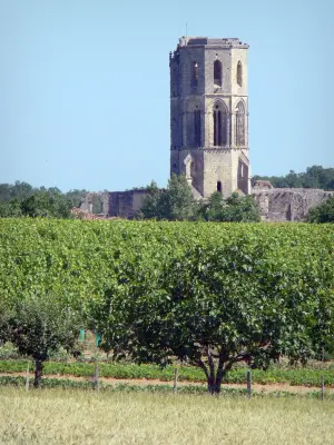 Abbaye de La Sauve-Majeure