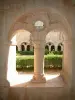 Abbaye du Thoronet - Abbaye cistercienne de style roman provençal : colonne du cloître en premier plan