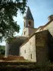 Abbaye du Thoronet - Abbaye cistercienne de style roman provençal : branches d'un arbre en premier plan et église