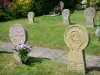 Ainhoa - Cementerio estelas discoide
