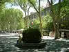 Aix-en-Provence - Rue (cours Mirabeau) bordée de platanes avec la fontaine moussue