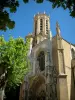 Aix-en-Provence - Cathédrale Saint-Sauveur avec un platane